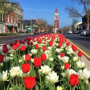 Meet your Posher, Tracey